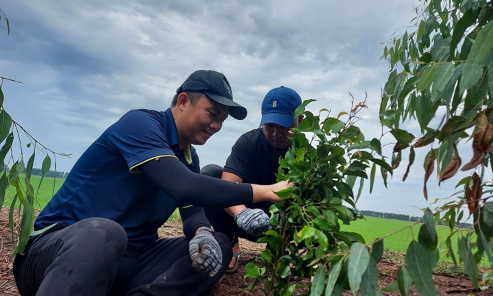 3M cùng WWF-Việt Nam trồng 8.000 cây xanh, cam kết phát triển bền vững