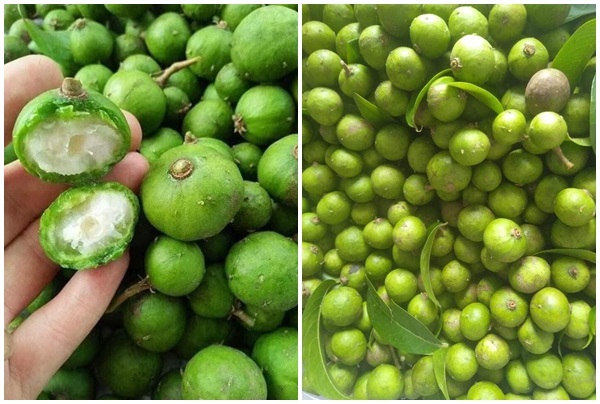 Đặc sản sấu non bất ngờ rẻ chưa từng có, chị em Hà Nội tranh thủ săn mua