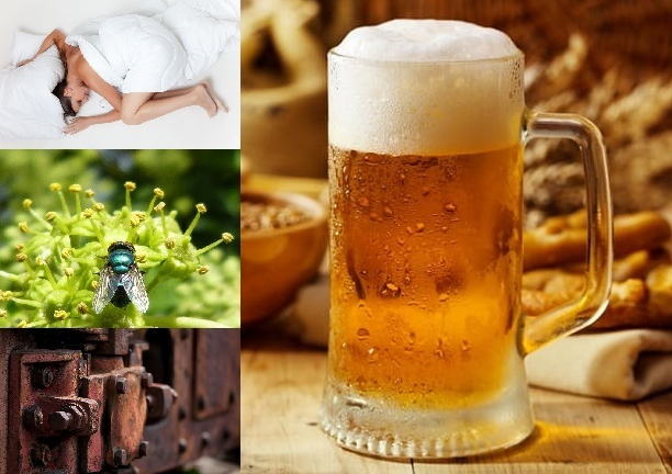 10 công dụng 'thần thánh' của bia rất ít người biết