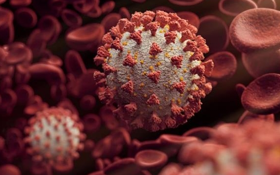 Bộ Y tế thông tin về biến chủng SARS-CoV-2 mới xuất hiện ở Việt Nam