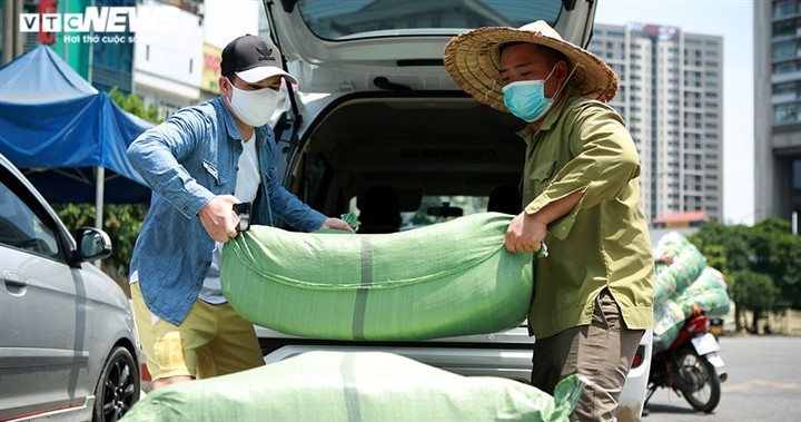 Công nhân bốc xếp hàng oằn mình làm việc giữa trưa nắng đỉnh điểm hơn 40 độ C