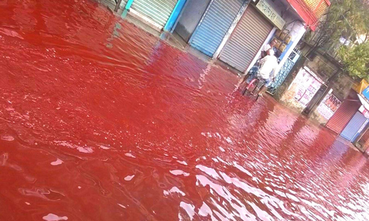 Bí ẩn hiện tượng mưa máu và những giả thuyết hệt như trong phim viễn tưởng