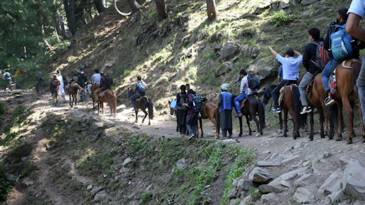 Video: Nhân viên y tế Ấn Độ cưỡi ngựa, vượt núi mang vaccine đến các bản làng