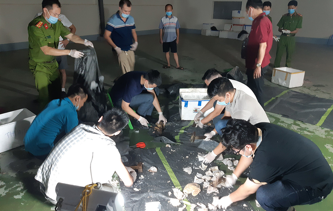 Video: Toàn cảnh chuyên án giấu ma tuý trong dạ dày lợn, gắn định vị ở Hà Nội