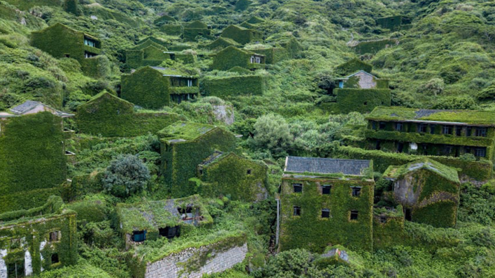 Video: Ngôi làng 'ma' bị cây xanh bao phủ tại Trung Quốc