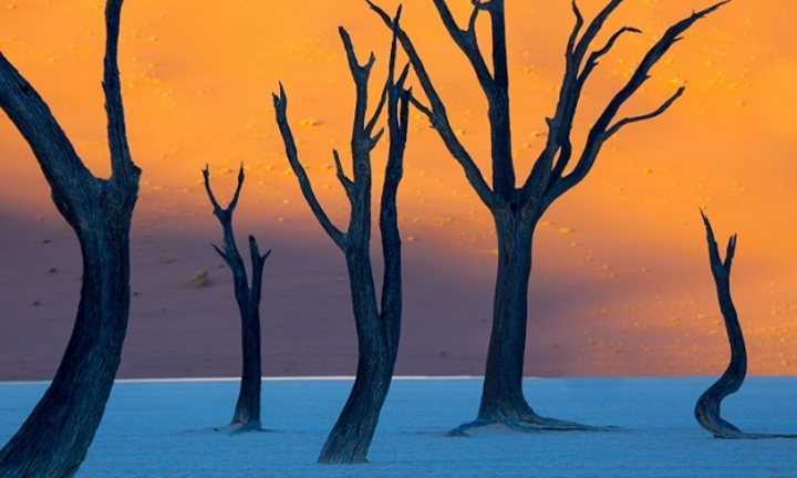 Sững sờ trước 5 cảnh sắc thiên nhiên đẹp như không có thật