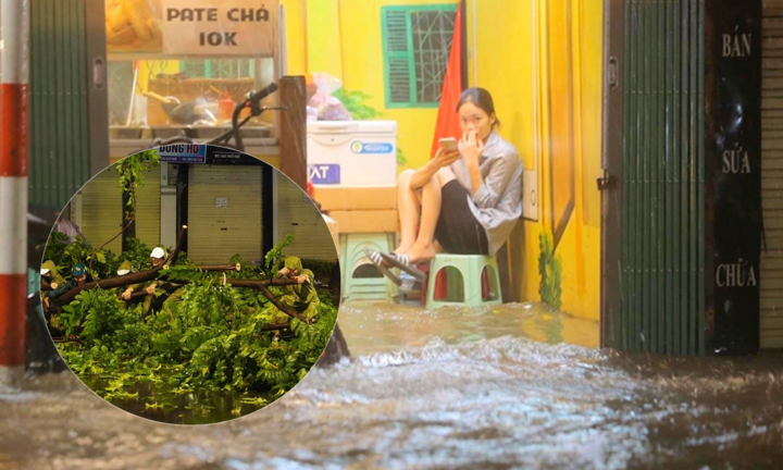 Đường Hà Nội ngập, cây đổ ngổn ngang sau cơn mưa lớn giữa đêm