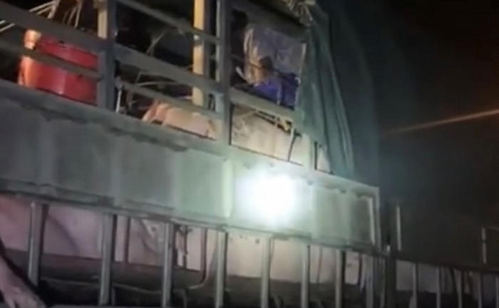 Gần 20 người trốn trong xe tải chở lợn 'né' chốt soát dịch COVID-19