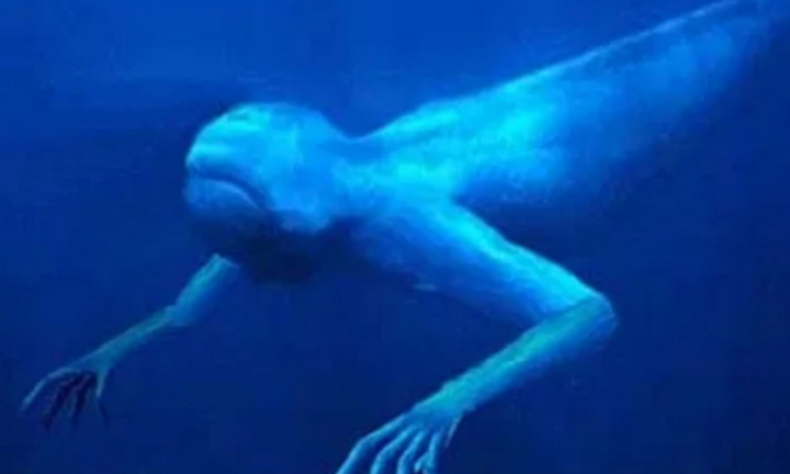 Quái vật biển khổng lồ hình người ở Nam cực: Bí ẩn đến nay vẫn chưa có lời giải 