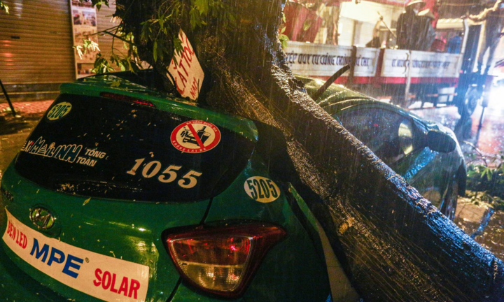Hà Nội: Cây đổ đè bẹp xe taxi trong mưa lớn