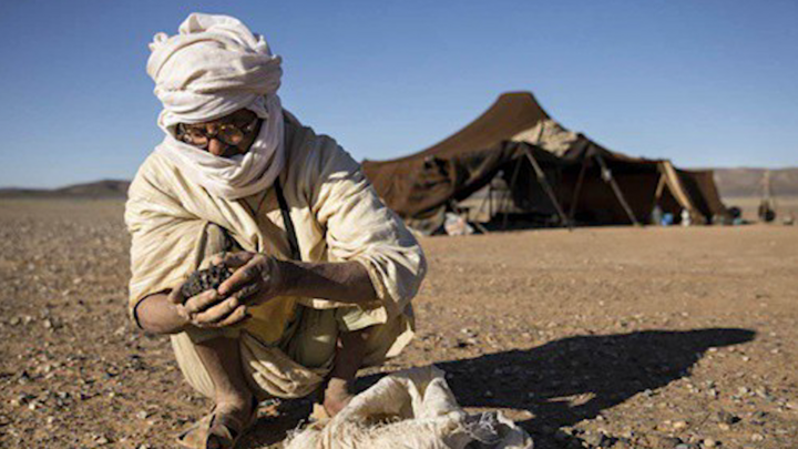 Video: Thợ săn thiên thạch ở Morocco