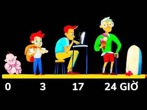 Video: Sẽ ra sao nếu đời người chỉ diễn ra trong 24 giờ?
