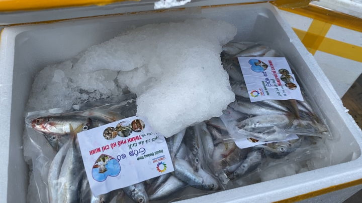 Video: Người dân Quảng Bình góp cá gửi vào tâm dịch TP.HCM