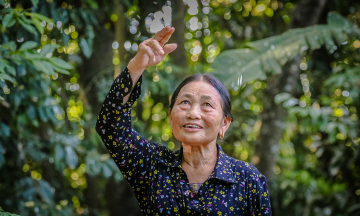 Người phụ nữ gần 6 thập kỷ cưu mang chim cói 