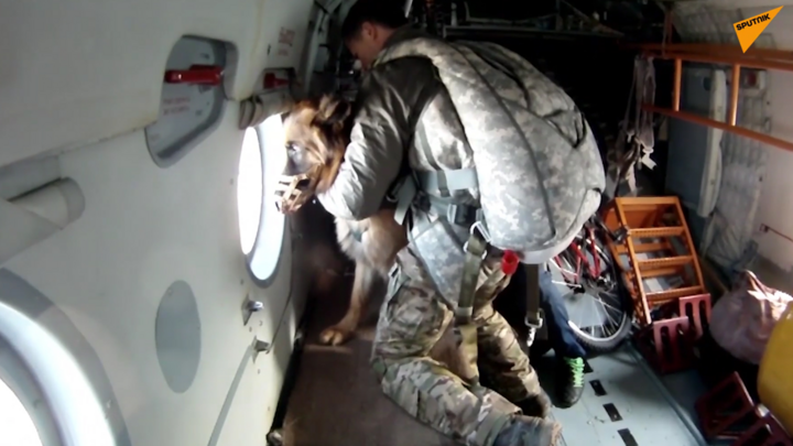 Video: Nga thử nghiệm hệ thống nhảy dù cho chó nghiệp vụ