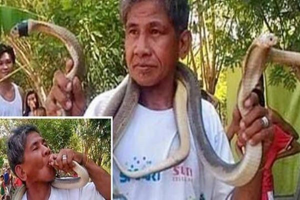 Người đàn ông hôn rắn hổ mang rồi chết trong đau đớn