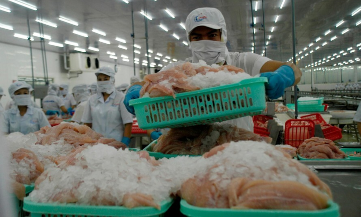 Kiến nghị lùi thêm thời gian thu phí dịch vụ cảng tại TP.HCM
