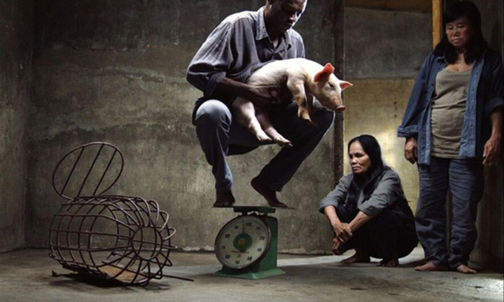 Phim Vị bị cấm chiếu, không chỉ vì cảnh nóng thô tục