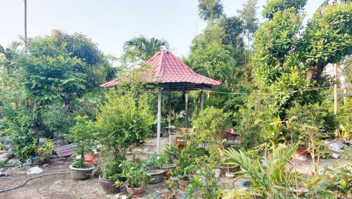 Đền 1m2 đất bằng cân cá nục ở Đà Nẵng: Tòa phúc thẩm tuyên hủy án sơ thẩm