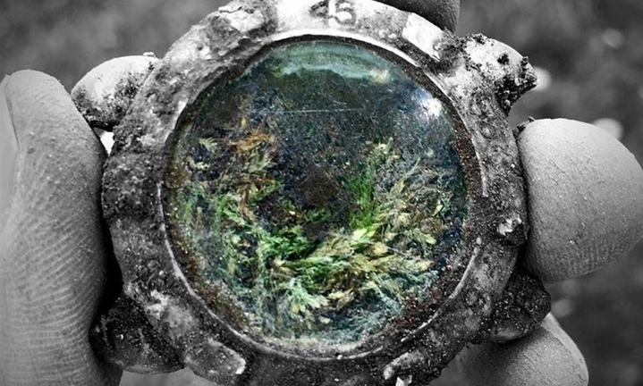 15 bức ảnh cho thấy sự tàn nhẫn, vô tình của thời gian