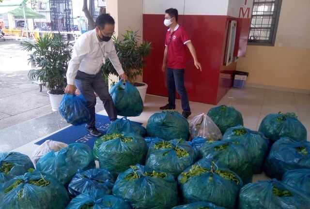 25 tấn rau củ quả theo tàu cao tốc từ miền Tây về TP.HCM