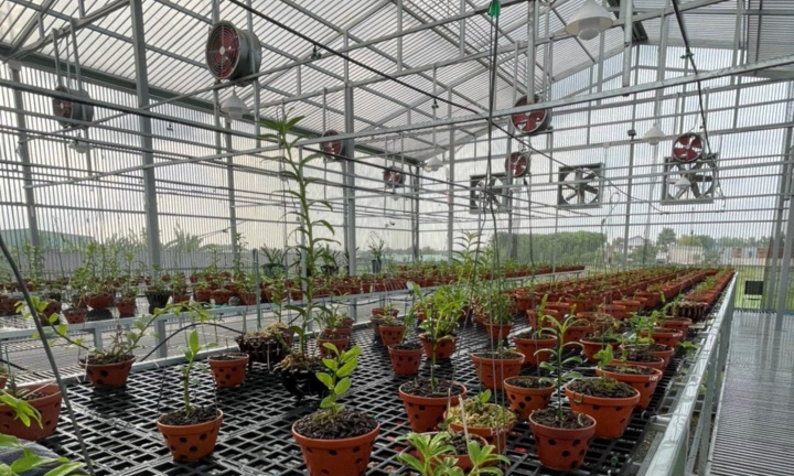 Gặp gỡ người con Xứ Huế sở hữu vườn lan nhiều người mơ ước