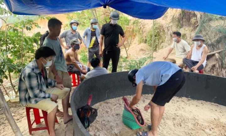 Ngang nhiên mở trường gà bất chấp lệnh cấm tụ tập của Đà Nẵng