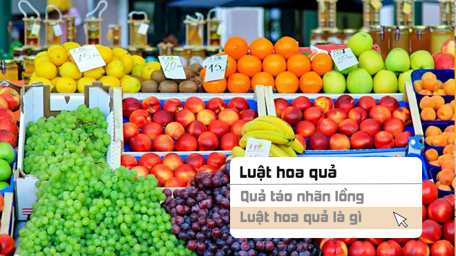 Tra từ: ‘Luật hoa quả’ là gì mà dân mạng nhắc đến suốt những ngày qua?