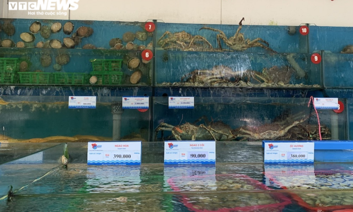 Hà Nội: Hải sản dành cho nhà giàu giảm giá kỷ lục vẫn ế ẩm