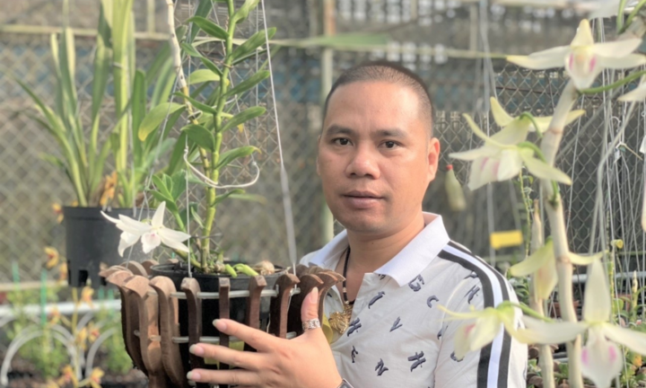 Ông chủ vườn lan Cánh Hoàng và khát vọng phát triển ngành hoa lan