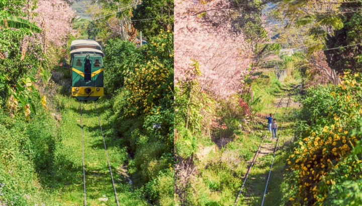Ngẩn ngơ ngắm góc đường tàu ở Đà Lạt nên thơ như truyện tranh Nhật