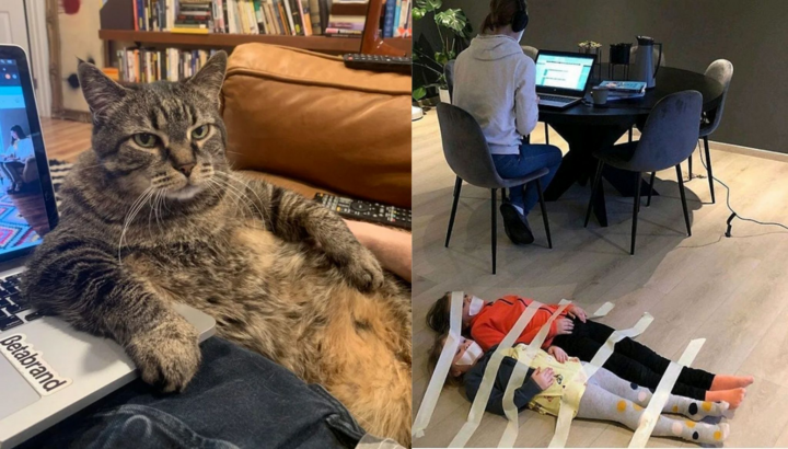 Cảnh dở khóc dở cười trong chuỗi ngày làm việc tại nhà khiến ai nấy than trời
