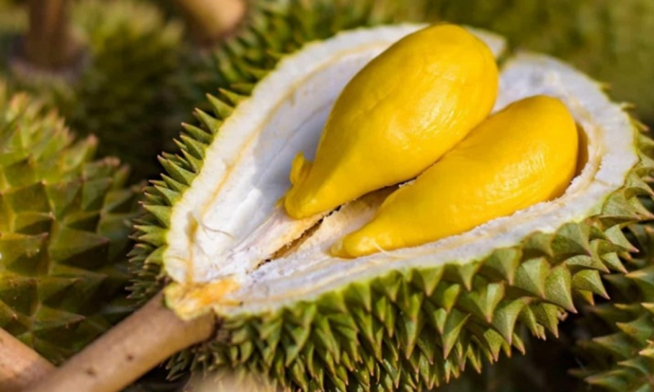 Sầu riêng Việt Nam 'cháy' hàng tại Australia