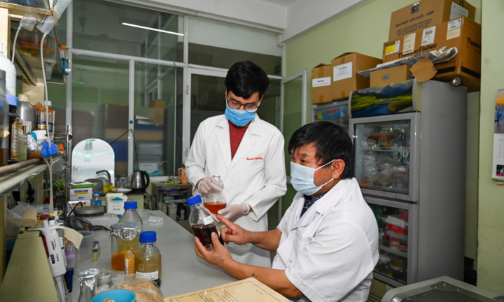 Sẽ cấp phép lưu hành thuốc điều trị COVID-19 'made in Vietnam' cuối năm 2021?