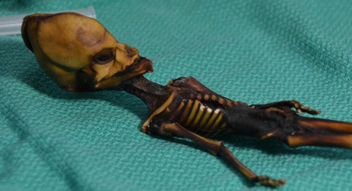 Sự thật về xác ướp ‘người ngoài hành tinh’ gây xôn xao 18 năm trước