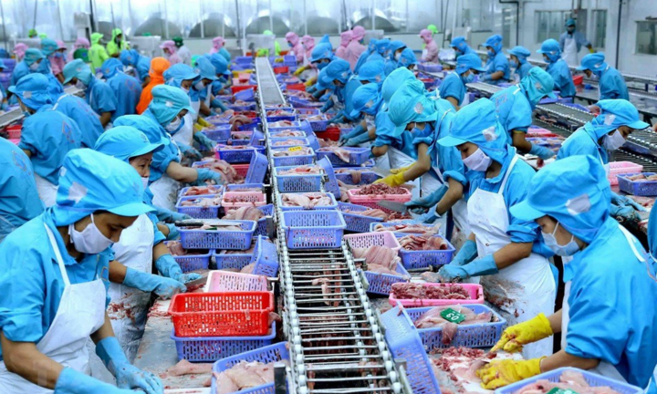 Đưa Việt Nam trở thành trung tâm chế biến thủy sản