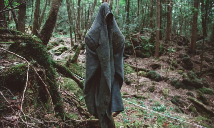 Giải mã bí ẩn ‘khu rừng tự sát’ rùng rợn bậc nhất thế giới