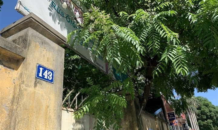 'Siêu doanh nghiệp' Hà Nội vốn gần 128.000 tỷ đồng: Sở KH&ĐT vào cuộc kiểm tra
