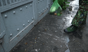 Video: Bộ đội đi từng ngõ, gõ từng nhà mang lương thực đến người dân