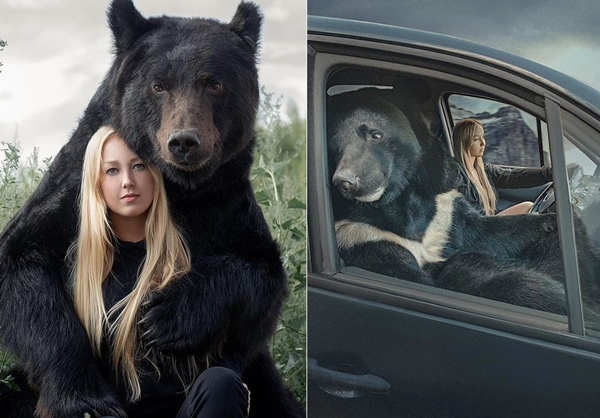 Hot girl lái xe chở thú cưng gấu khổng lồ dạo phố