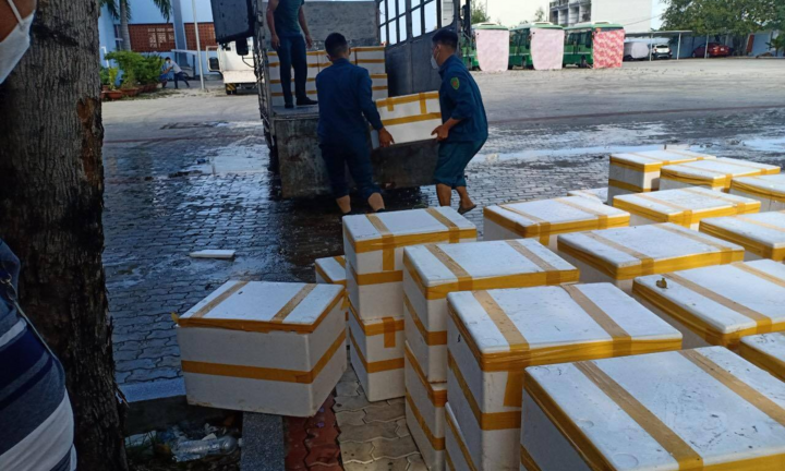 TP.HCM: Trao tặng 3 tấn cá tươi hỗ trợ bệnh nhân COVID-19 huyện Nhà Bè