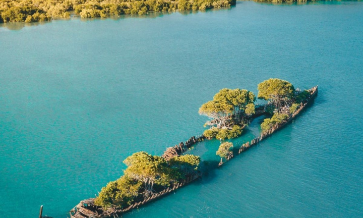 Xác tàu bỏ hoang hóa ‘rừng nổi’ giữa biển thu hút du khách đến check-in