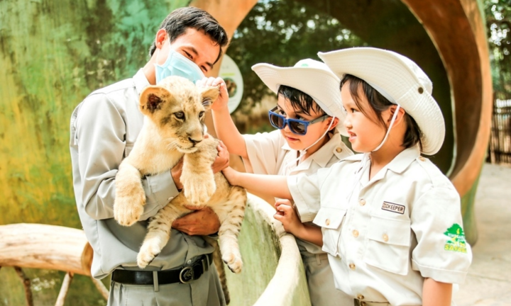 24 giờ của 'bố hổ', 'mẹ sư tử' ngoài đời tại Vinpearl Safari