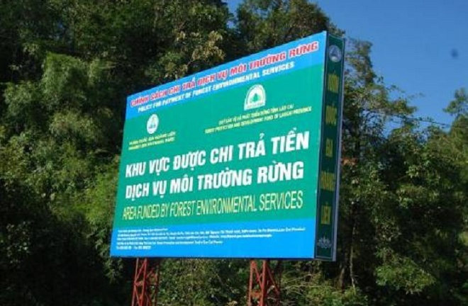 Thu gần 17.000 tỷ đồng từ dịch vụ môi trường rừng
