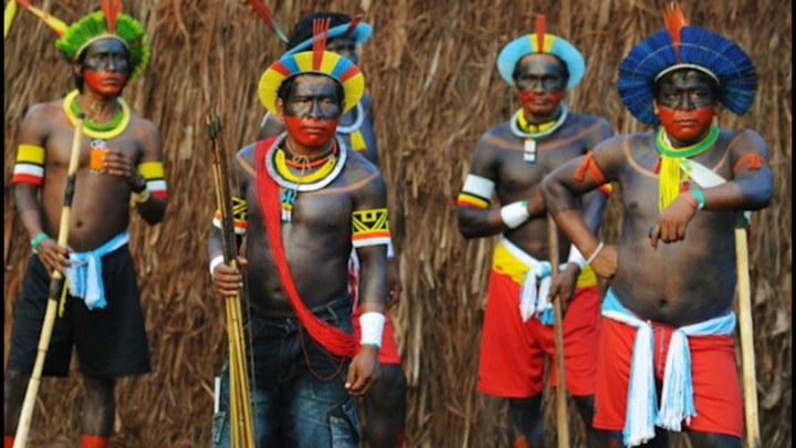 Video: Thể hiện bản lĩnh, thanh niên bộ tộc ở Amazon chiến đấu với ong bắp cày