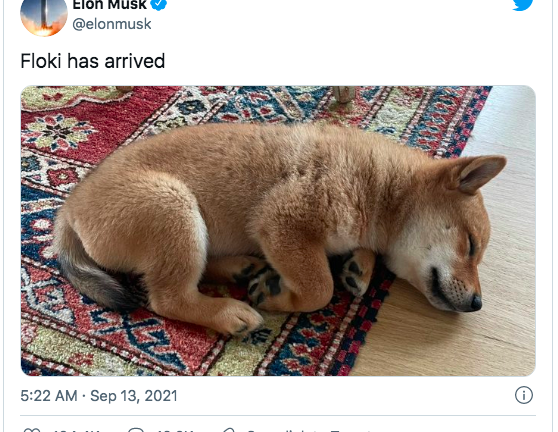 Elon Musk đăng ảnh cún cưng, tiền mã hóa lập tức tăng giá gần 10 lần