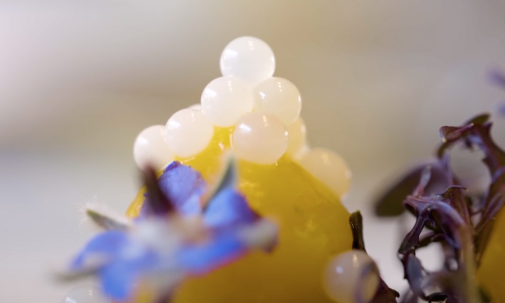 Video: Cận cảnh món trứng ốc sên đắt đỏ của người Pháp