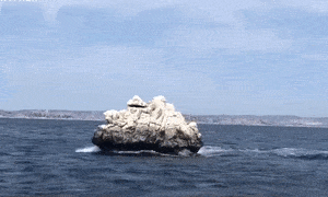 Video: Chiếc thuyền ngụy trang như tảng đá lướt trên mặt biển