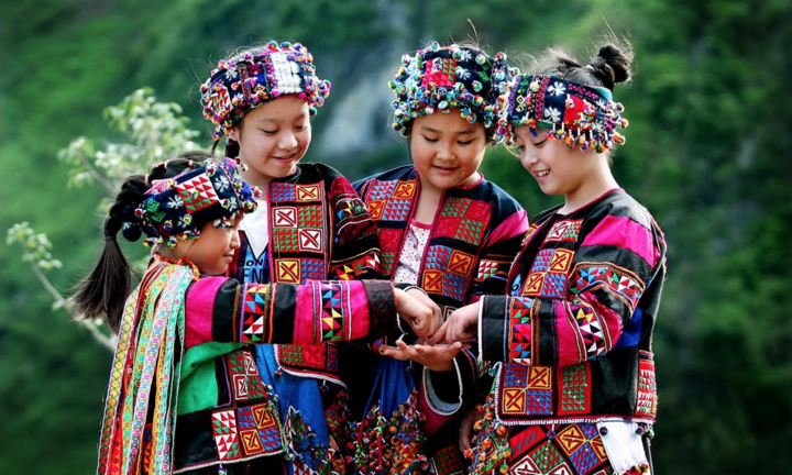 Video: Mùa vàng online - lễ hội Hoàng Su Phì của Hà Giang