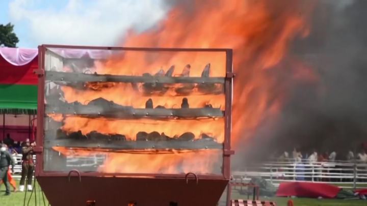 Video: Cận cảnh 2.500 chiếc sừng tê giác bị đốt cháy ở Ấn Độ